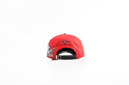 SNAPBACK CAPS FANS(MENTS)